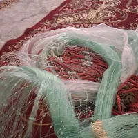 سلیه نو ماهی گیری