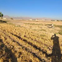 زمین زراعی آبی|فروش دفتر صنعتی، کشاورزی، تجاری|بشاریات, |دیوار