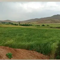 گلخانه|فروش دفتر صنعتی، کشاورزی، تجاری|سنندج, |دیوار