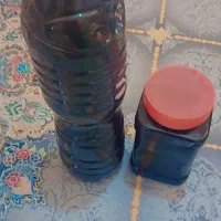 رب انار شهر رضا