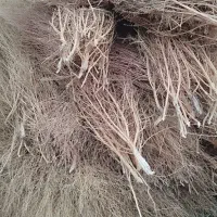 جارو دستی|لوازم نظافت|خوی, |دیوار