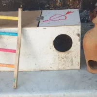 لونه ونردبان مخصوص عروس هلندی