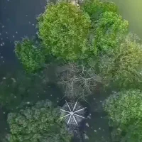 پارتنر طبیعت گردی