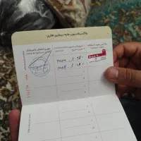 توله سگ پامرانین|سگ|تهران, شهرک ولیعصر شمالی|دیوار
