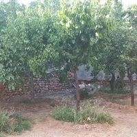 اجاره سوئیت در شهر سهرورد|اجارهٔ کوتاهمدت آپارتمان و سوئیت|قیدار, |دیوار