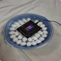 دستگاهtttttجوجه 00کشی برد دیجیتالی قوی