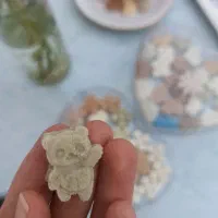 قندونبات گیاهی رژیمی|خوردنی و آشامیدنی|قم, ناصردیوان|دیوار