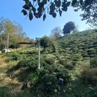 ۱۴۰۰متر چلک لاهیجان یاس ۱۱ قابل معاوضه با واحد