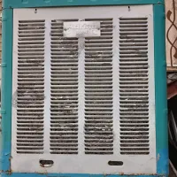 کولرابی درحدنو