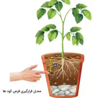 قرص کود ۱۲۰ عددی بیز|گل و گیاه طبیعی|اسلامشهر, باغ فیض|دیوار