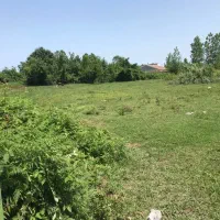 زمینی-تجاری-و-مسکونی