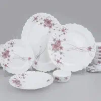سرویس پذیرایی ۲۵ پارچه نو