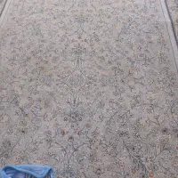 فرش|فرش|باغستان, |دیوار