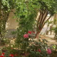 اجاره کوتاه مدت ویلا نیاسر|اجارهٔ کوتاه‌مدت ویلا و باغ|کاشان, الغدیر|دیوار