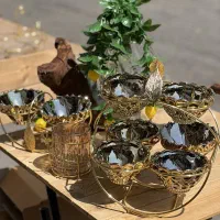 محصولات پی وی دی