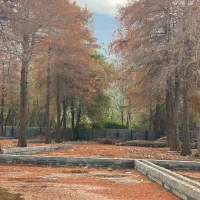 زمین-سند-دار-شهرکی-فقط-1-میلیارد-قیمت-کل