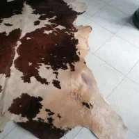 پوست گاو|فرش|مشهد, سجاد شهر|دیوار