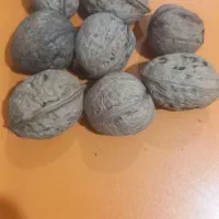 گردو اعلا|خوردنی و آشامیدنی|عنبران, |دیوار