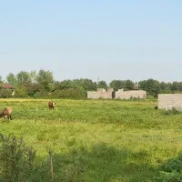 ۶هزار متر زمین داخل طرح هادی گفشه