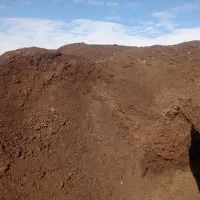 کود حیوانی کمپوست گاوی گوسفندی