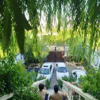 باغ ۱/۲ جریب کوچه باغ فرهنگ /با برق