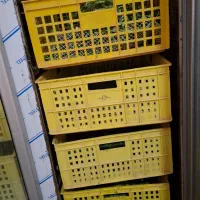 یخچال فروشگاهی،صنعتی|فروشگاه و مغازه|فردیس, قریشی|دیوار