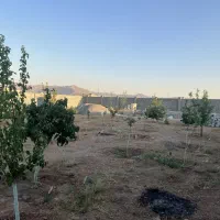 بورس-زمینهای-کشاورزی-وباغ-درجهاد-اباد