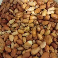 سنجد امسالی|خوردنی و آشامیدنی|مشهد, چهارچشمه|دیوار