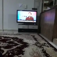 تلویزیون کارکرده سامسونگ باچندلکه سیاه درتصویر