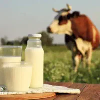 فروش شیر درب منزل شما