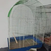 قفس