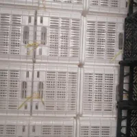 استخدام در کارگاه تولید سبد میوه