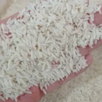 برنج هاشمی اصل