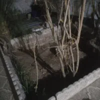 باغبانی وهرس کاری وکلیه خدمات باغداری