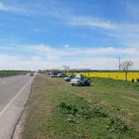 اجاره یا مشارکت جایگاه فروش میوه|اجارهٔ مغازه و غرفه|کلاله, |دیوار