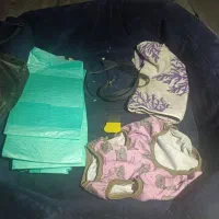 سگ بازیگوش خانگی|سگ|نقده, |دیوار