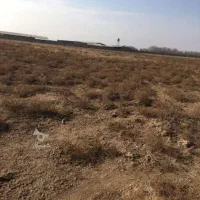 زمین دو بهر ۱۲۸متر