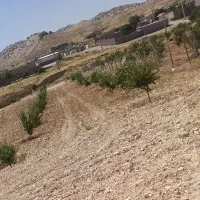 فروش زمین ملکشاهی (روستا قلعه جوق)|فروش زمین و ملک کلنگی|ملکشاهی, |دیوار