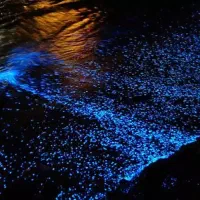 تور قشم هنگام هرمز|تور و چارتر|اصفهان, جلالیه|دیوار