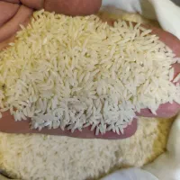 کارگر ساده خانم