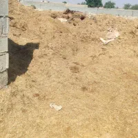 کاه گندم|حیوانات مزرعه|باوی, |دیوار