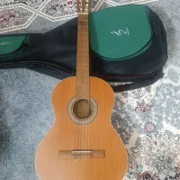 گیتار پارسی p40