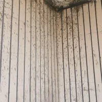 شست شو نما بااسید و نانو