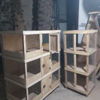 لونه عروس هلندی|لوازم جانبی حیوانات|بندرعباس, |دیوار