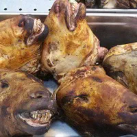 فروش گوسفند گوشتی وزنده باسکول ۲۰تا۱۰۰کیلو|حیوانات مزرعه|مشهد, توس (بلوار توس)|دیوار