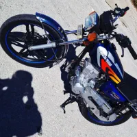 پیشرو ۲۰۰عروسک