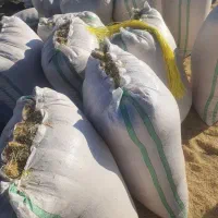 خریدارکاه از۴تنبهبالا