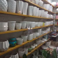 تمام ماگ ها فقط ۱۴۵ حراج گلدان هاهم حراج شد|حراج|رشت, معلولین|دیوار