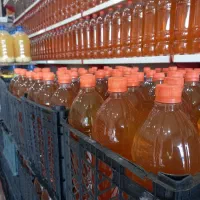 آبغوره بی نمک درجه یک امسال|خوردنی و آشامیدنی|هشتگرد, هشتگرد قدیم|دیوار