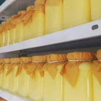 روغن زرد حیوانی فوق اعلاء (گاوی) سراب|خوردنی و آشامیدنی|تهران, مرزداران|دیوار